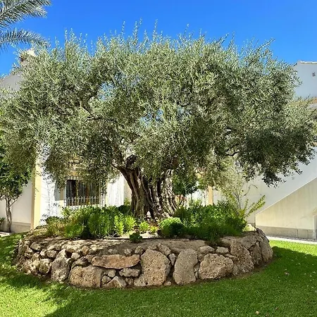 Casa Ola