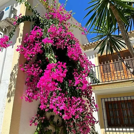 Casa Ola *